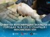 На Житомирщині сапери знищили 17 артснарядів та мін, які селяни знайшли на городах та в лісі (ВІДЕО)