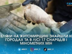 На Житомирщині сапери знищили 17 артснарядів та мін, які селяни знайшли на городах та в лісі (ВІДЕО)