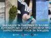 Ховали у кишенях та авто: шестеро житомирян носили із собою наркотики, просто гуляючи містом наркотики