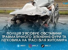 Під Житомиром фура MAN протаранила зустрічну Skoda та відправила водія легковика до лікарні