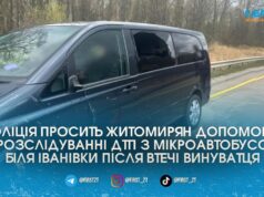 Водій Volkswagen врізався у мікроавтобус на трасі Київ-Чоп біля Житомира та втік з місця аварії залишивши травмованого пасажира