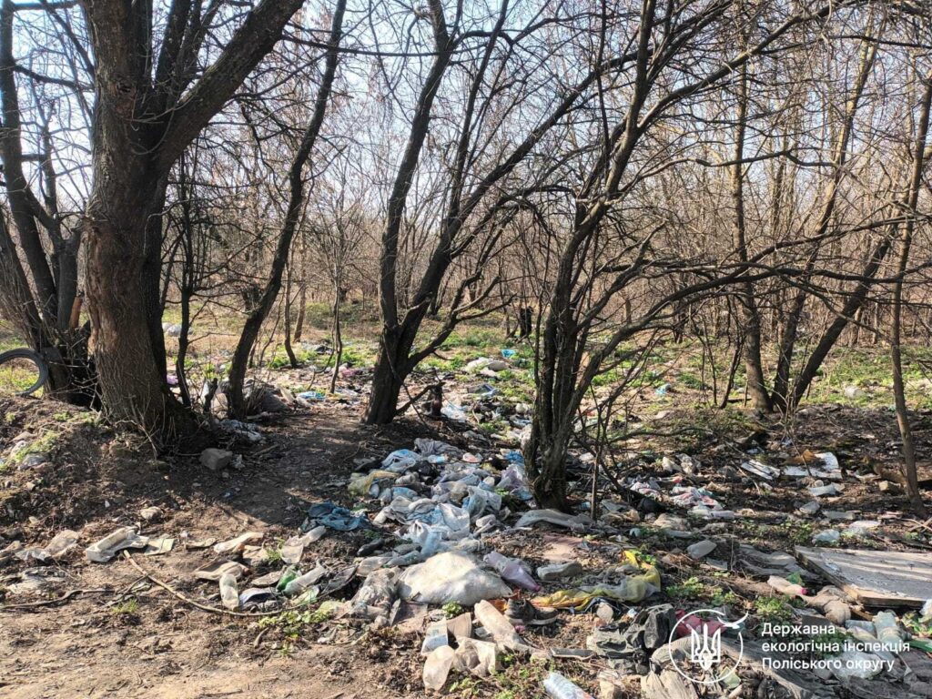 Держекоінспекція зобов’язала посадовців терміново розчистити від нелегального сміття території...