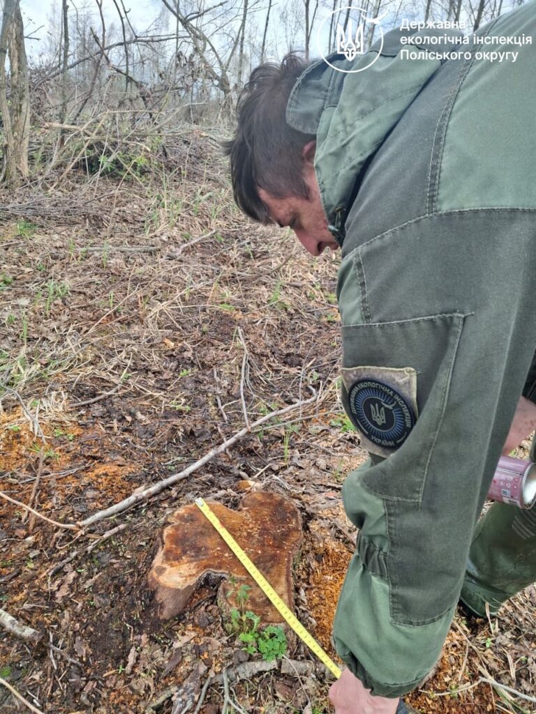 екоінспекція