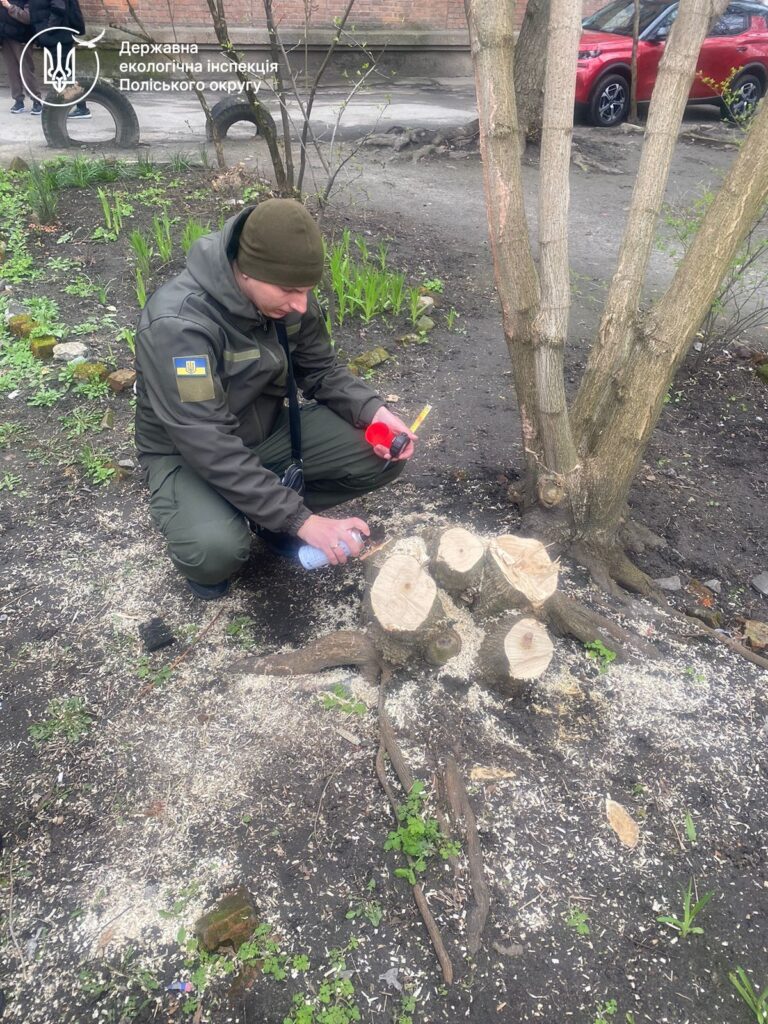 берег Тетерева