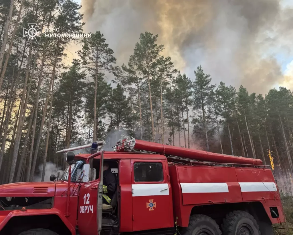 16 гектарів землі