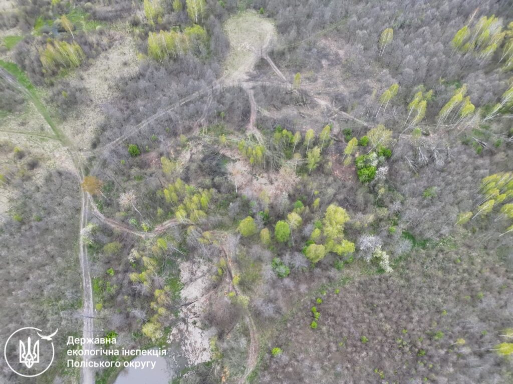 сотні дерев