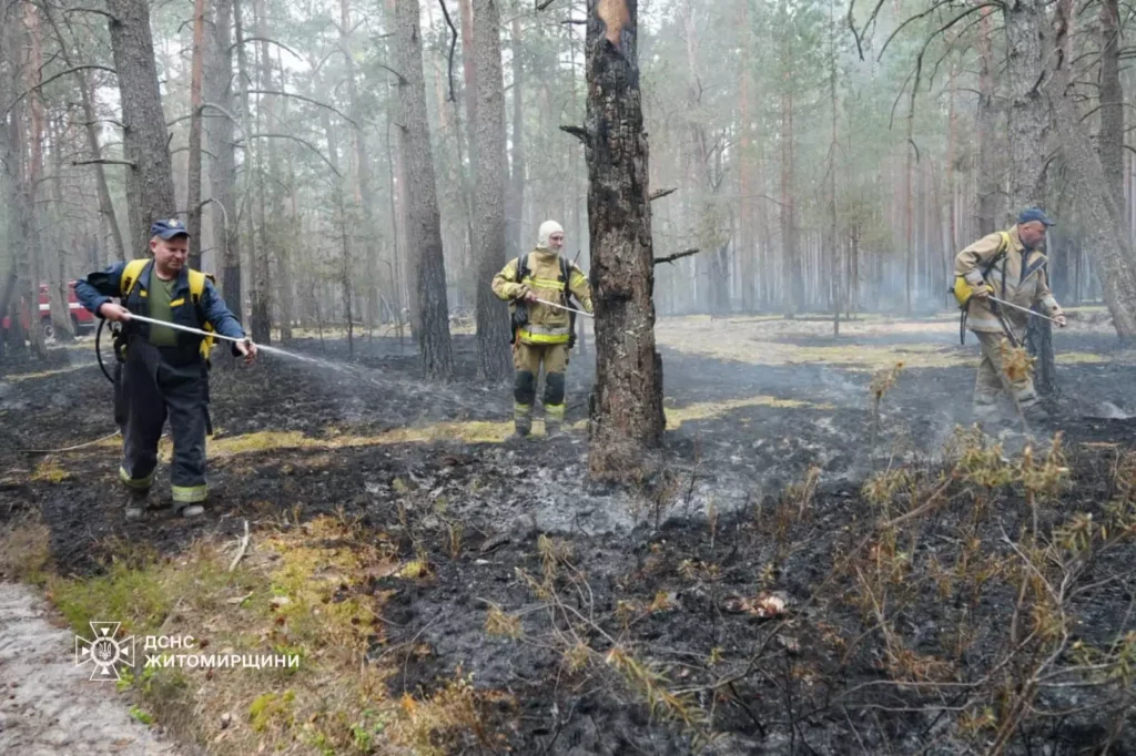 Поліському заповіднику