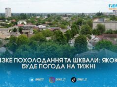 Різке похолодання та штормовий вітер: синоптики попередили житомирян про зміну погоди