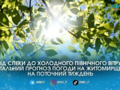 Температурні гойдалки на Житомирщині: синоптики попередили про різке похолодання та грози