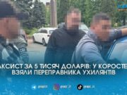 Таксист-провідник: на Житомирщині за $5000 чоловіків відправляли за кордон «лісовими стежками»