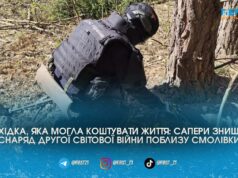 Небезпечний ліс: на Житомирщині піротехніки ДСНС ліквідували артснаряд, що пролежав у землі понад 80 років