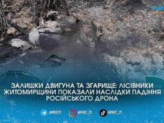 Ворожий безпілотник підпалив ліс: на Житомирщині ліквідували пожежу від уламків «Шахеда»