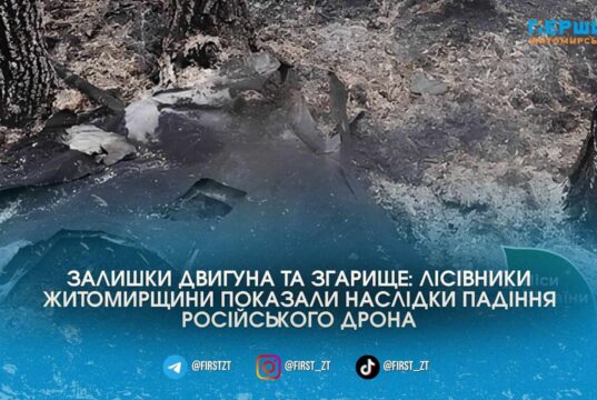 Ворожий безпілотник підпалив ліс: на Житомирщині ліквідували пожежу від уламків «Шахеда»