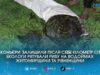 Риба йде на нерест, а браконьєри ставлять пастки: на Поліссі екологи витягли з води майже кілометр сіток