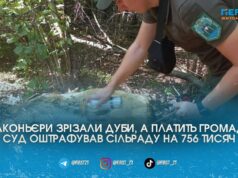 Браконьєри спиляли, а платить громада: з Пулинської селищної ради суд стягнув понад 750 тисяч за незаконну рубку дубів