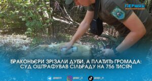 Браконьєри спиляли, а платить громада: з Пулинської селищної ради суд стягнув понад 750 тисяч за незаконну рубку дубів