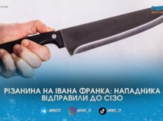 Різанина на Івана Франка: у Житомирі суд відправив до СІЗО чоловіка, який з ножем кидався на перехожих