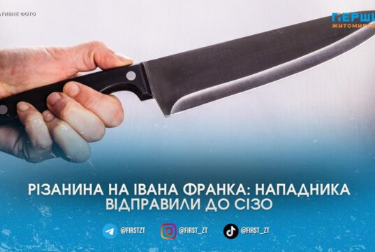 Різанина на Івана Франка: у Житомирі суд відправив до СІЗО чоловіка, який з ножем кидався на перехожих