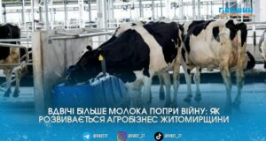 Вдвічі більше молока попри війну: як фермери Житомирщини ламають стереотипи про кризу