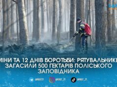 Міни та 12 днів боротьби з полум’ям: на Житомирщині нарешті загасили 500 гектарів Поліського заповідника