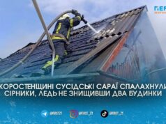 Пожежа у Кварцитному: вогонь знищив два сараї і ледь не перекинувся на житлові будинки