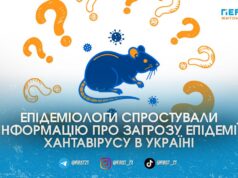 Нової пандемії не буде: чи загрожує Україні південноамериканський хантавірус