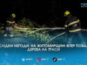 Вітер перекрив траси: на Житомирщині рятувальники розчищали дороги від повалених дерев