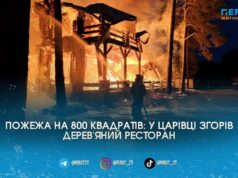 Полум’я на 800 квадратів: під Житомиром вщент згорів відомий дерев’яний ресторан