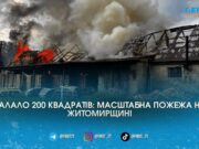 Палало 200 квадратів: на Житомирщині вогнеборці ледь приборкали масштабну пожежу через солому