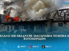 Палало 200 квадратів: на Житомирщині вогнеборці ледь приборкали масштабну пожежу через солому