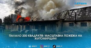 Палало 200 квадратів: на Житомирщині вогнеборці ледь приборкали масштабну пожежу через солому