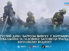 Пожежа у Житомирі: надзвичайники ліквідували загоряння у будинку та не дали полум’ю поширитися