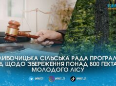 Суд зобов’язав Глибочицьку сільську раду надати статус понад 800 гектарам самозаліснених земель