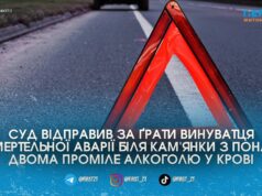П’яний водій автомобіля Opel отримав шість років в’язниці за смертельну аварію біля села Кам’янка