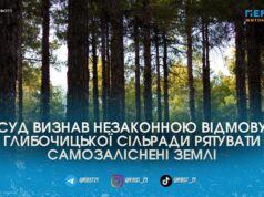 Депутати проти лісу: суд змусив Глибочицьку сільраду взяти на облік понад 800 гектарів самозаліснених земель
