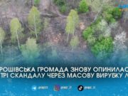 “Чорні” лісоруби знищили сотні дерев біля Теренців: чому за це знову може заплатити Хорошівська громада