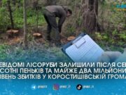 Екоінспекція шукає винуватців масового знищення дерев під Коростишевом зі збитками на 1,7 мільйона гривень