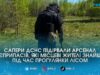 На Житомирщині люди натрапили на шість вибухонебезпечних боєприпасів
