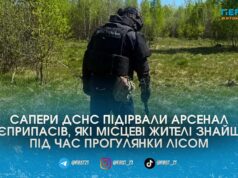 На Житомирщині люди натрапили на шість вибухонебезпечних боєприпасів