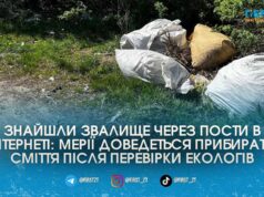 Скарги в соцмережах спрацювали: мерію змусять прибрати стихійне сміттєзвалище у Житомирі