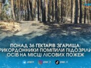 Спецслужби рф могли замовити підпал лісу на півночі Житомирщини: що кажуть лісівники