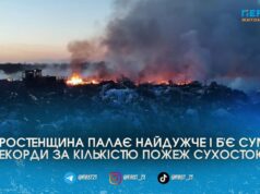 Масові підпали перетворили на попіл понад 16 гектарів землі на Житомирщині лише за одну добу