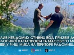 У Радомишлі через скидання невідомих отруйних стоків у річку Мика загинули майже три з половиною тисячі риб