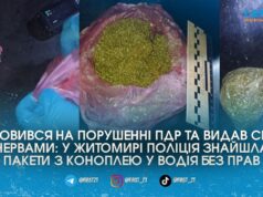 Їздив без прав та “під кайфом”: на Покровській патрульні зупинили водія з пакетами конопель