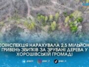 Зрубали на 2,5 мільйона: на Житомирщині екоінспектори викрили масштабний лісоповал