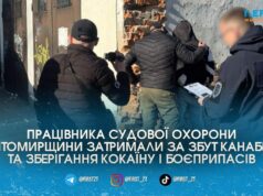 Охороняв суди та приторговував наркотиками: на Житомирщині затримали посадовця з кокаїном та 1,5 кг канабісу