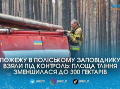 Пожежу в Поліському заповіднику взяли під контроль: рятувальники гасять 300 гектарів тліючого лісу
