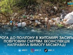 Екоінспектори змушують владу Житомира прибрати стихійні сміттєзвалища по дорозі до міського полігону