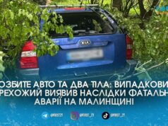 Смертельний таран дерева на Малинщині забрав життя двох чоловіків