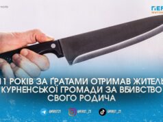 Удар ножем у шию через чарку: на Житомирщині дядько отримав 11 років тюрми за вбивство племінника